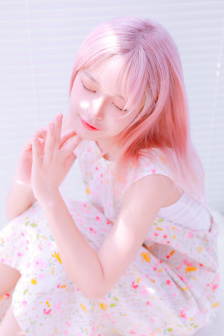 竹子的拼音